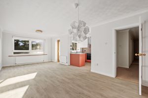 Photo 1- click for photo gallery